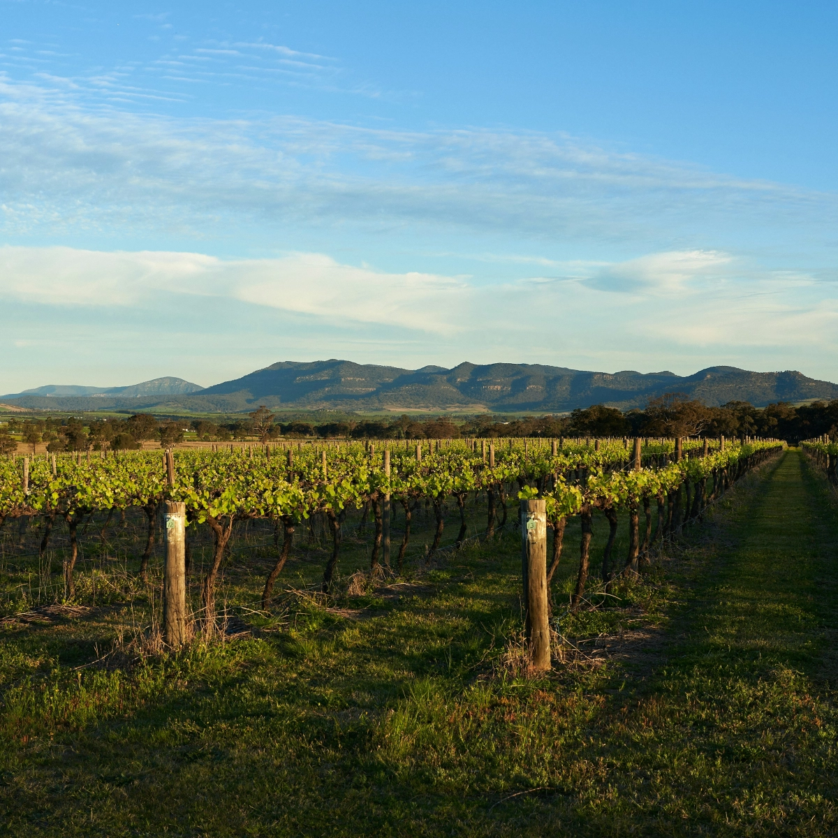 Hunter Valley