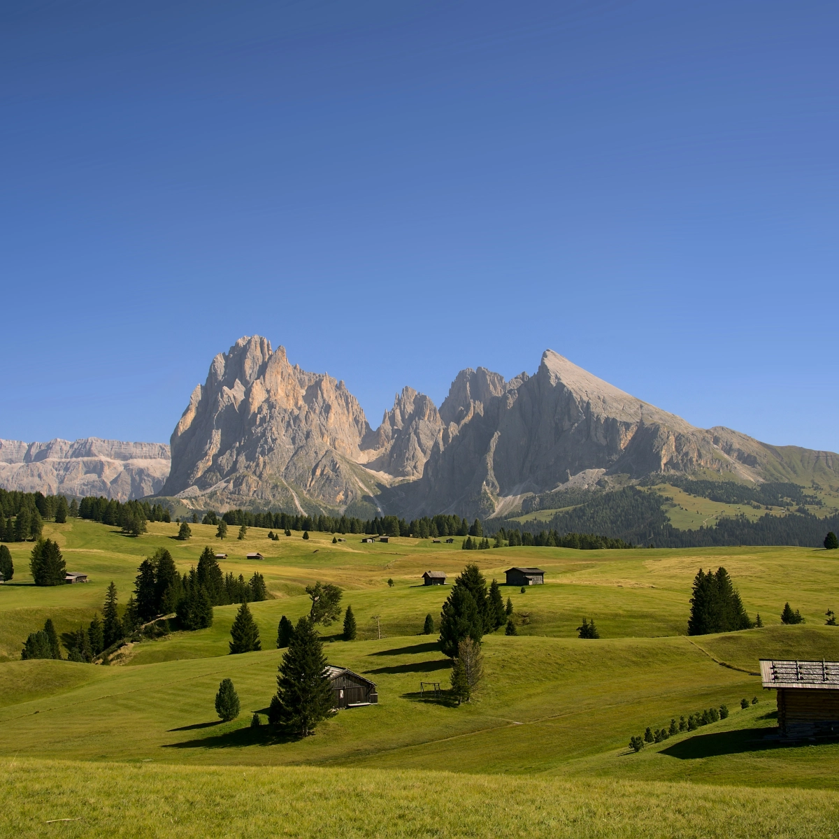 Italian Alps