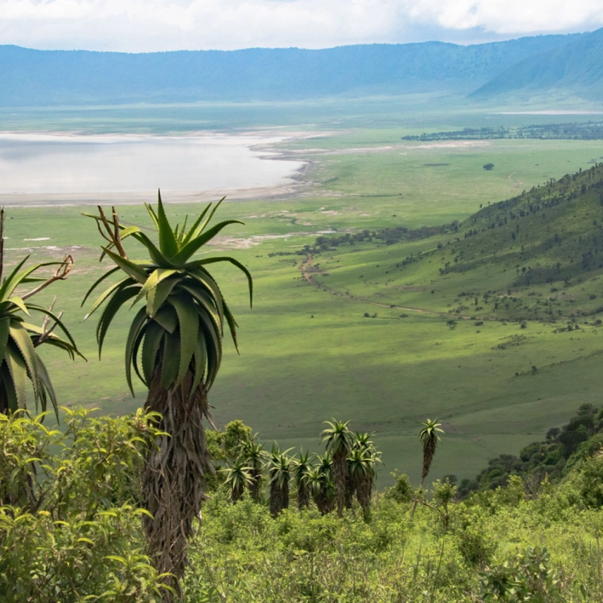 Ngorongoro Crater