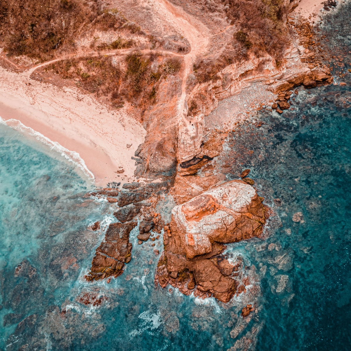 Pacific Coast