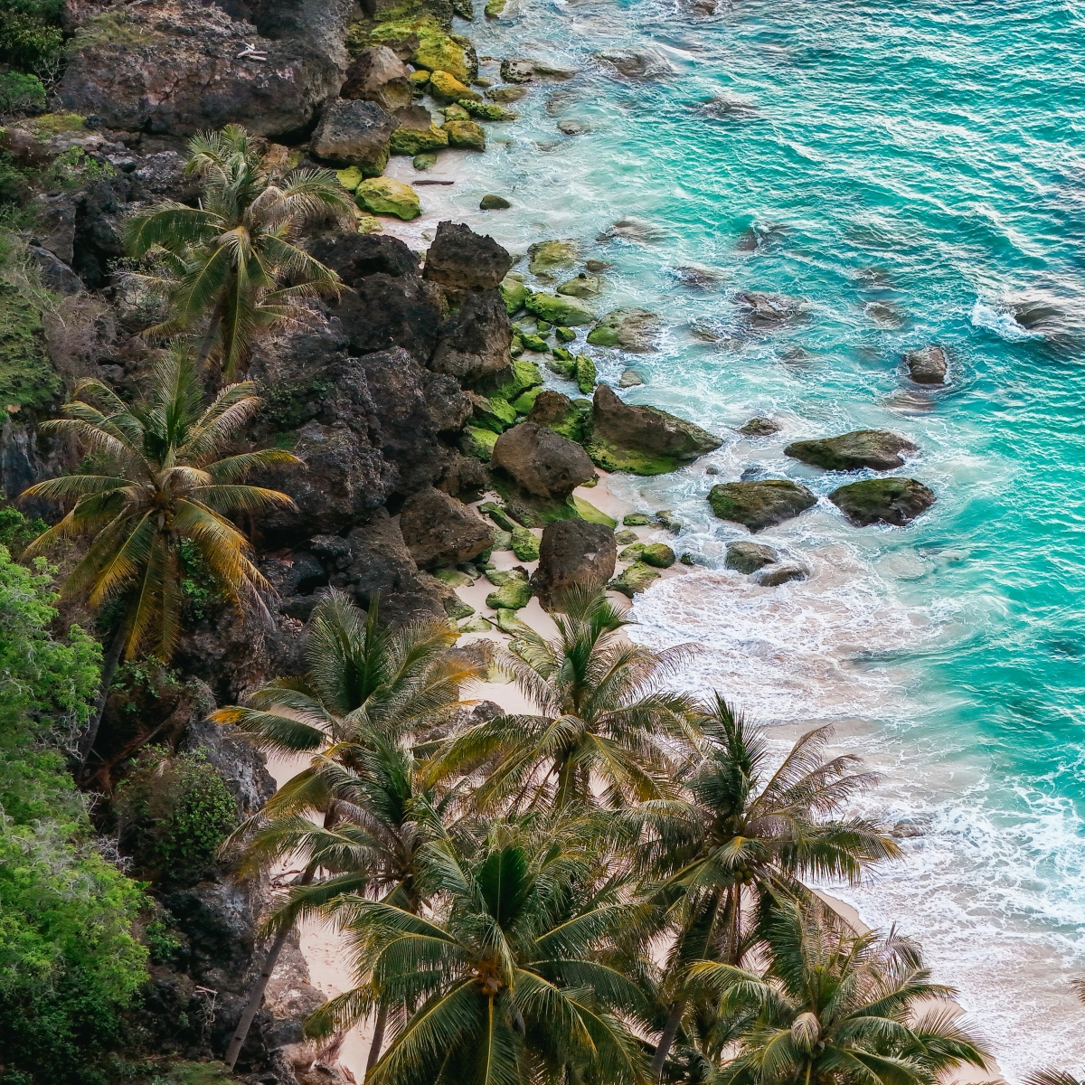 Riviera Maya