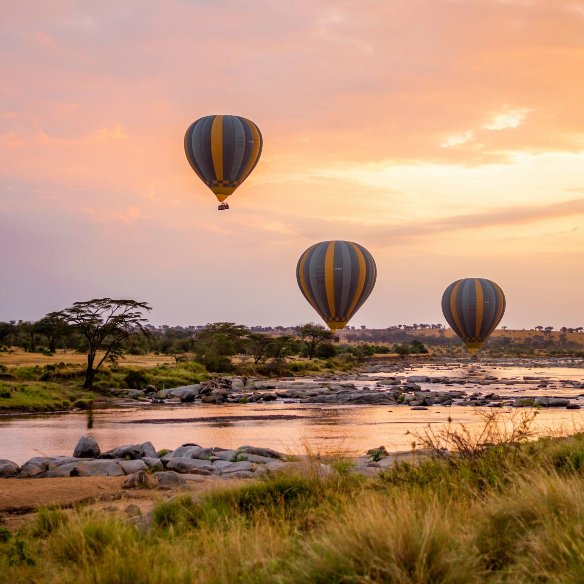 Serengeti