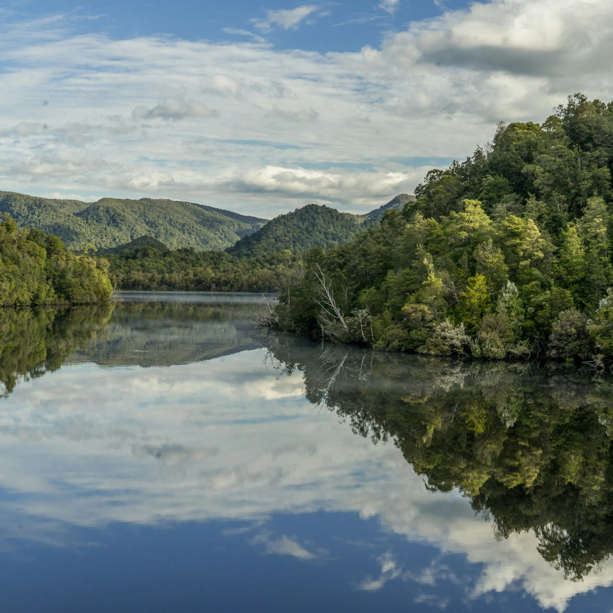 Tasmania
