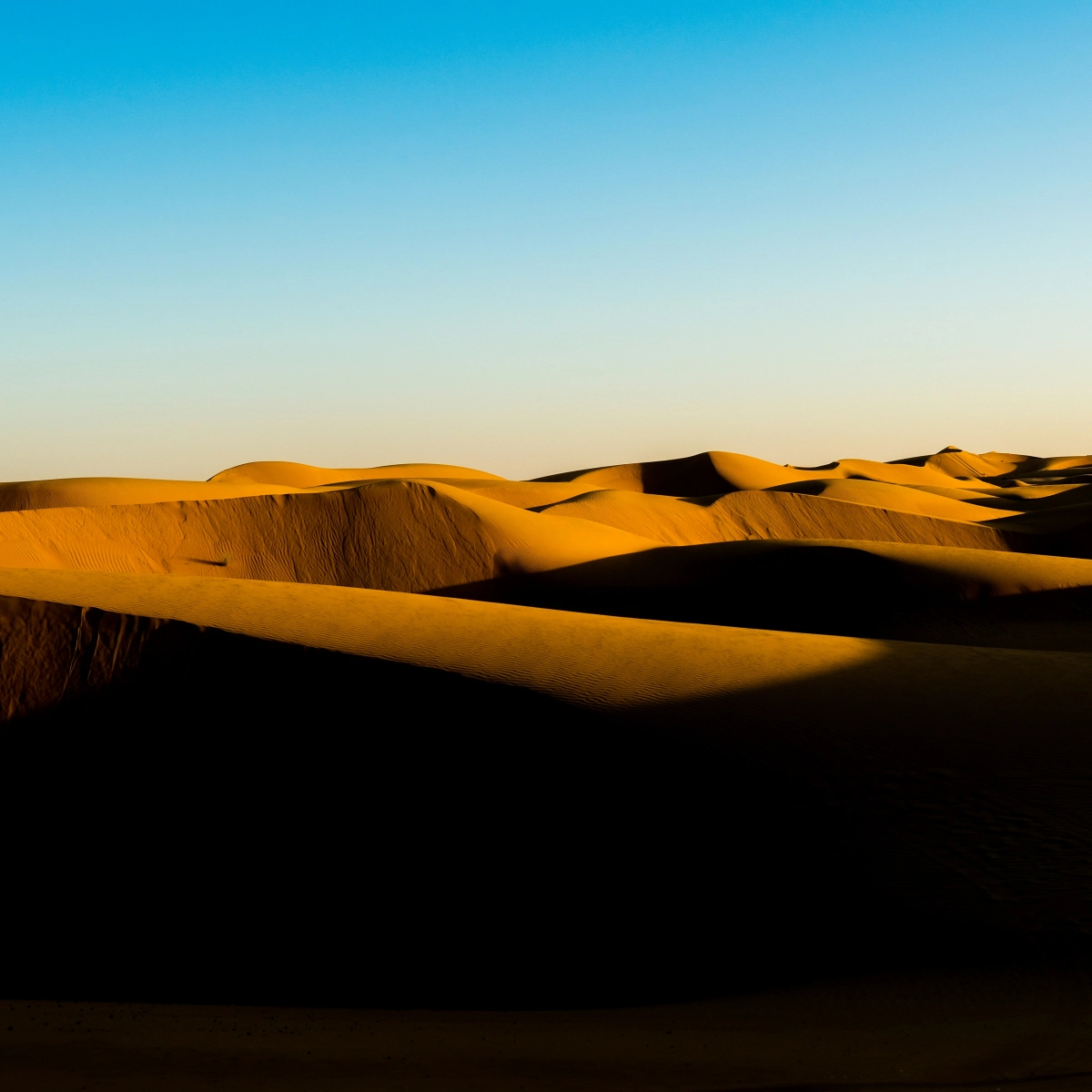 Wahiba Sands