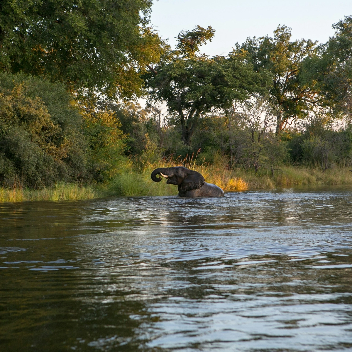 Zambezi Region