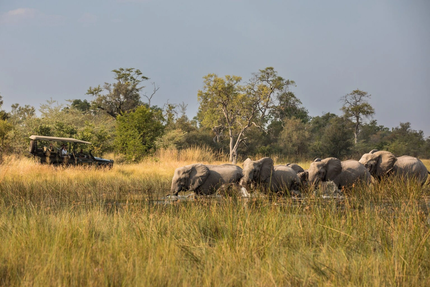 Mara Toto Tree Camp