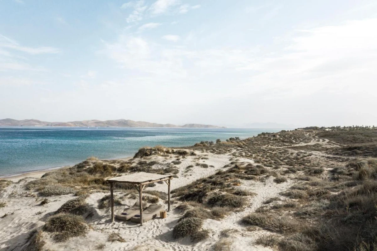 OKU Kos