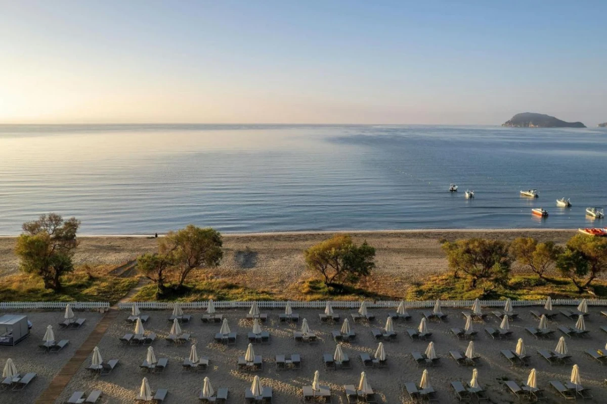 Domes Aulus Zante, Autograph Collection