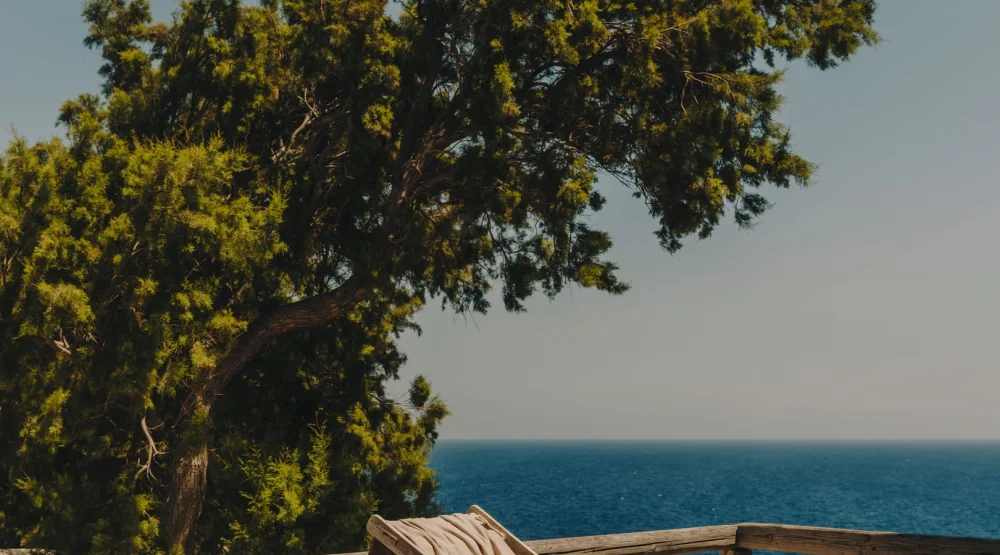 Apomero Two Bedroom Suite Sea View with Private Pool at The Wild Hotel By Interni
