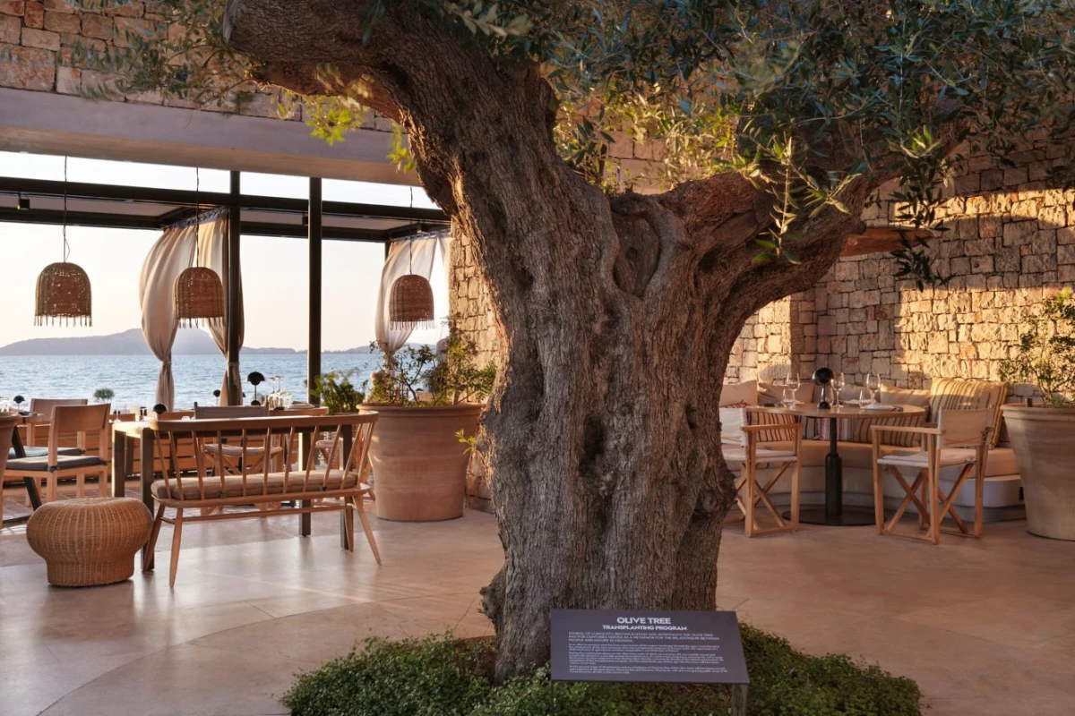 W Costa Navarino